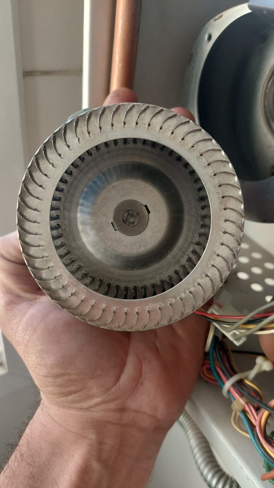 Imagem do WhatsApp de 2025-06-16 à(s) 20.20.54_aed9c165